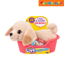 Little Live Pets My Really Real Puppy