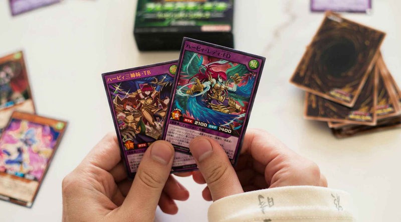 TCGs: How to Play & Collect Trading Cards Toy Kingdom TCGs: How to Play & Collect Trading Cards Toy Kingdom