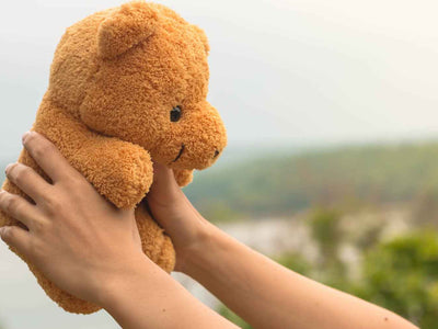 Plush Toy Care Guide To Keep Your Favorites Fresh & Cuddly