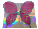 Pink Butterfly Wings Costume