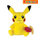 Pokemon Gotta Catch'em All Plush Toy