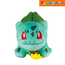 Pokemon Gotta Catch'em All Plush Toy