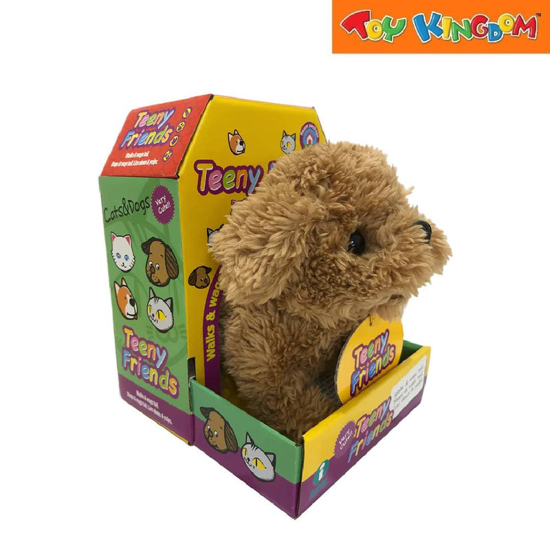 Iwaya Baby Toy Poodle Plush