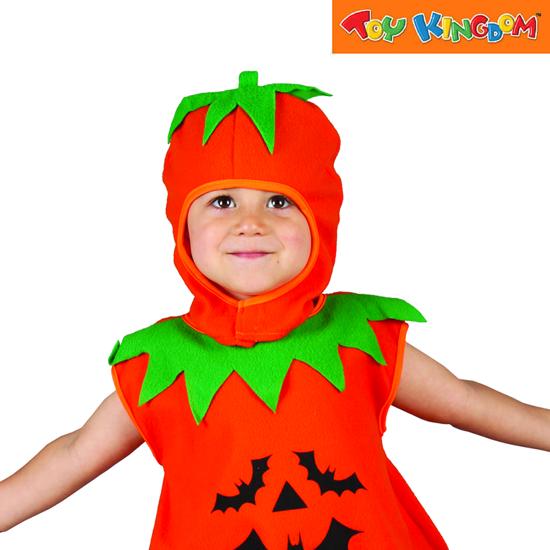 Lucida Pumpkin Extra Small Costume