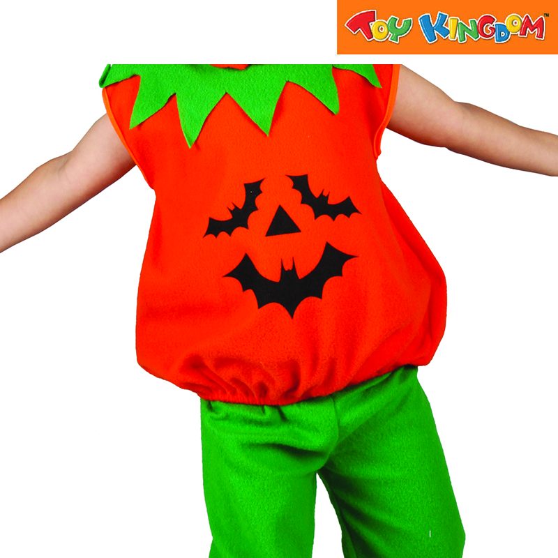 Lucida Pumpkin Extra Small Costume