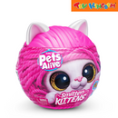 Pets Alive Smitten Kittens