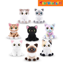 Pets Alive Smitten Kittens