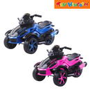 Raiker 3 Wheels Motorized Motorcyle