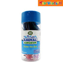 Dream Machine Animals Under Sea