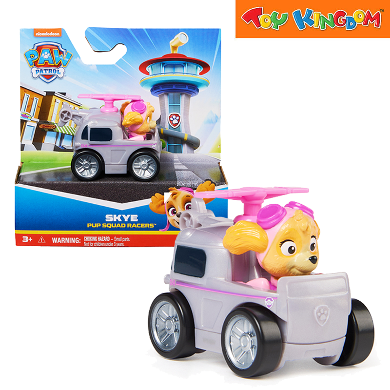 Paw Patrol Pup Squad Racers Skye