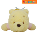 Disney Winnie the Pooh Summer Sweet Dream Collection
