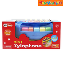 KidShop Fun & Learn 2-in-1 Xylophone