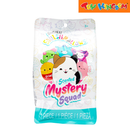 Squishmallows Scented Mystery Squad Blind Bag