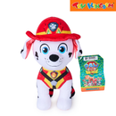Paw Patrol Essential Plush Movie