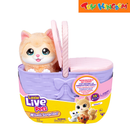 Little Live Pets Mama Surprise Kitty Playset