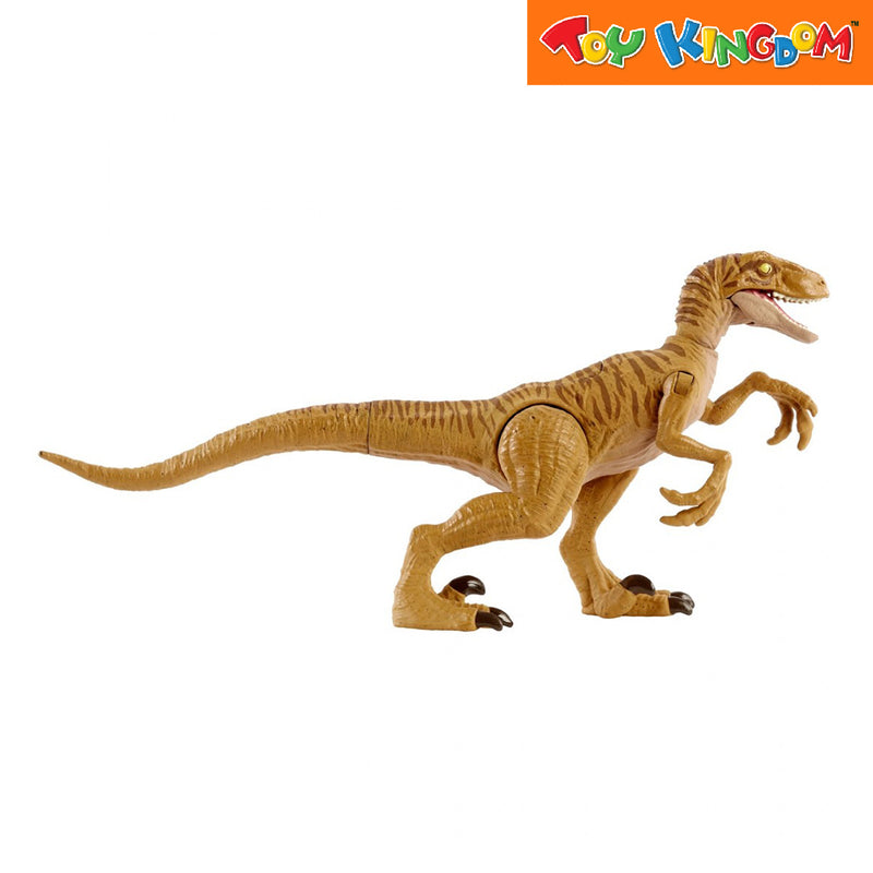 Jurassic World Basic Feature Velociraptor Claw Slash Action Figure