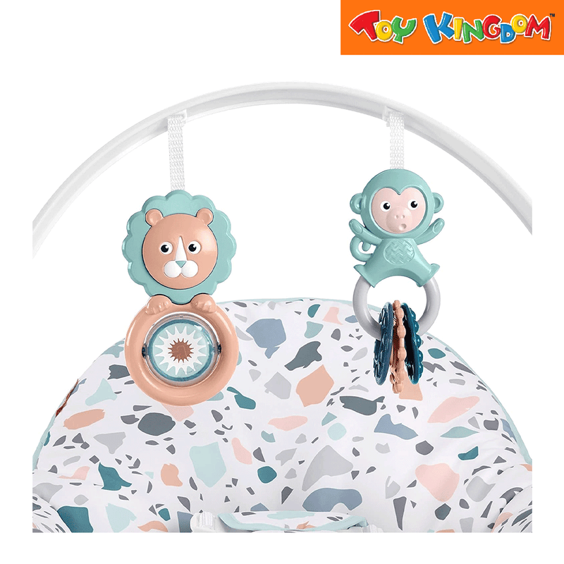 Fisher-Price Pacific Pebble Infant-to-Toddler Rocker